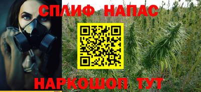 спиды Краснодар