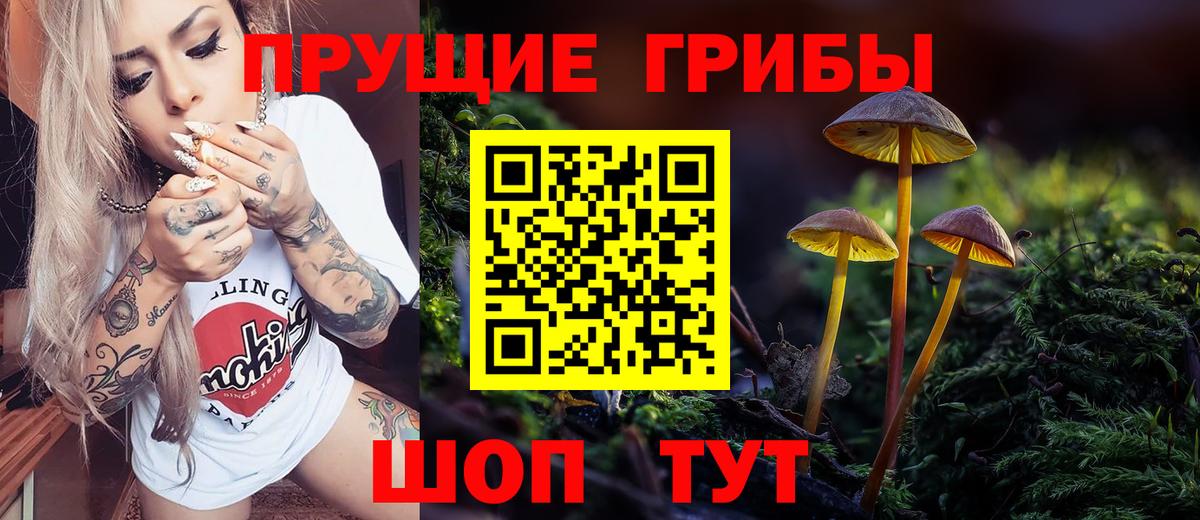 Галлюциногенные грибы Psilocybine cubensis Кандалакша