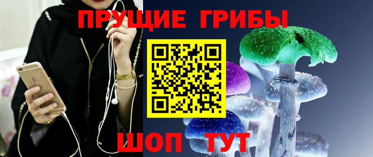A-PVP Кандалакша