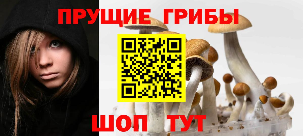 Кандалакша  цена   Вход с VPN  Псилоцибиновые грибы ЛСД 